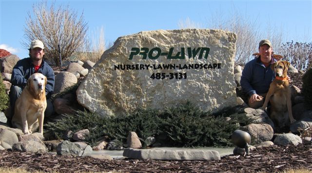 Balsam Lake Pro-Lawn Inc. | Balsam Lake Florist | 916 Badger Lane, Balsam Lake, WI 54810, USA | Phone: (715) 485-3131
