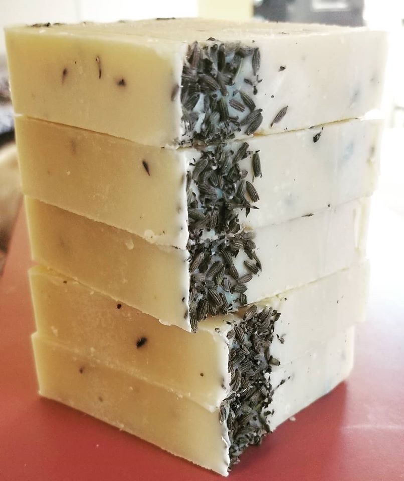 Barefoot Creek Farm Mobile Petting Zoo | 1100 Freedom Lane, Carthage, NC 28327, USA | Phone: (910) 286-9288