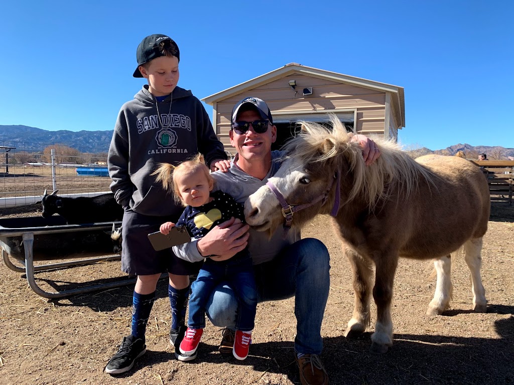 Shepperly Farm and Petting Zoo | 3240 Grandview Ave, Cañon City, CO 81212, USA | Phone: (719) 220-0258