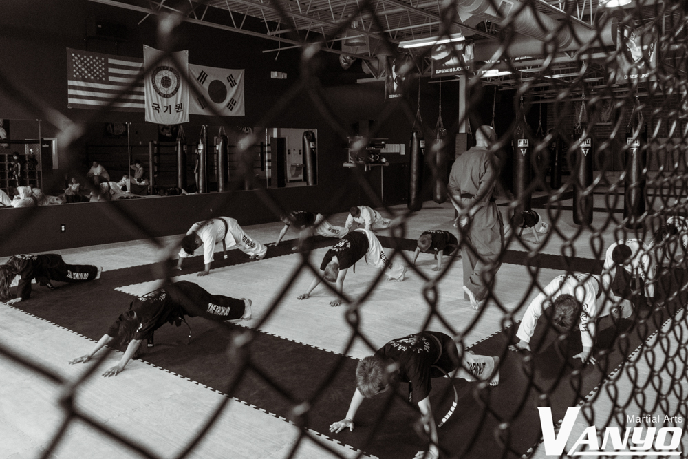 Vanyo Martial Arts | 19654 W 130th St, Strongsville, OH 44136, USA | Phone: (440) 238-9842