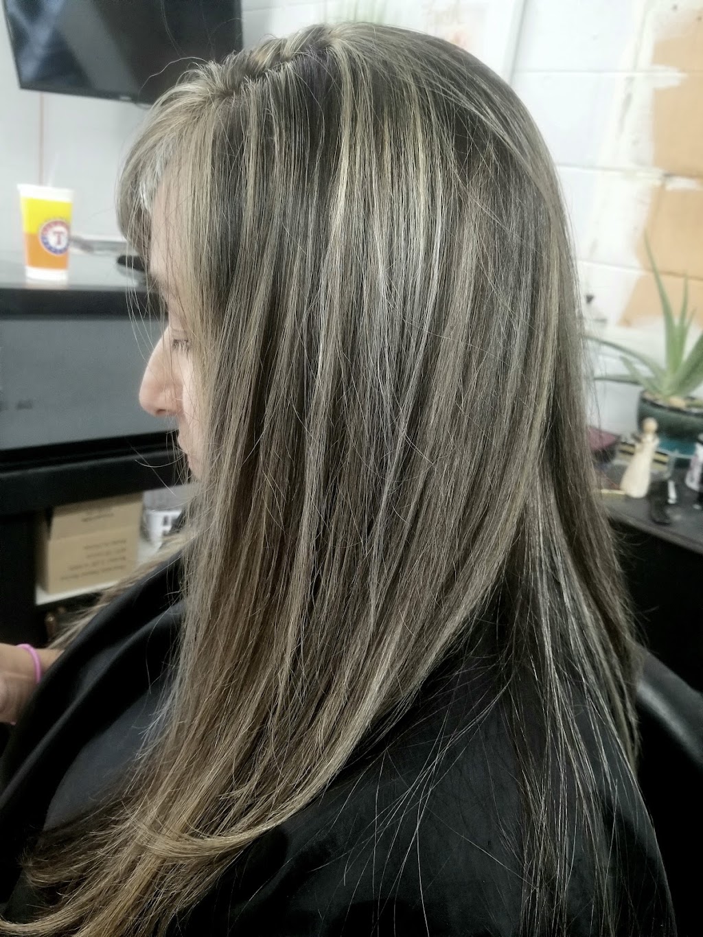 Sky Salon | 757 N Las Vegas Trail, Fort Worth, TX 76108, USA | Phone: (817) 246-9176