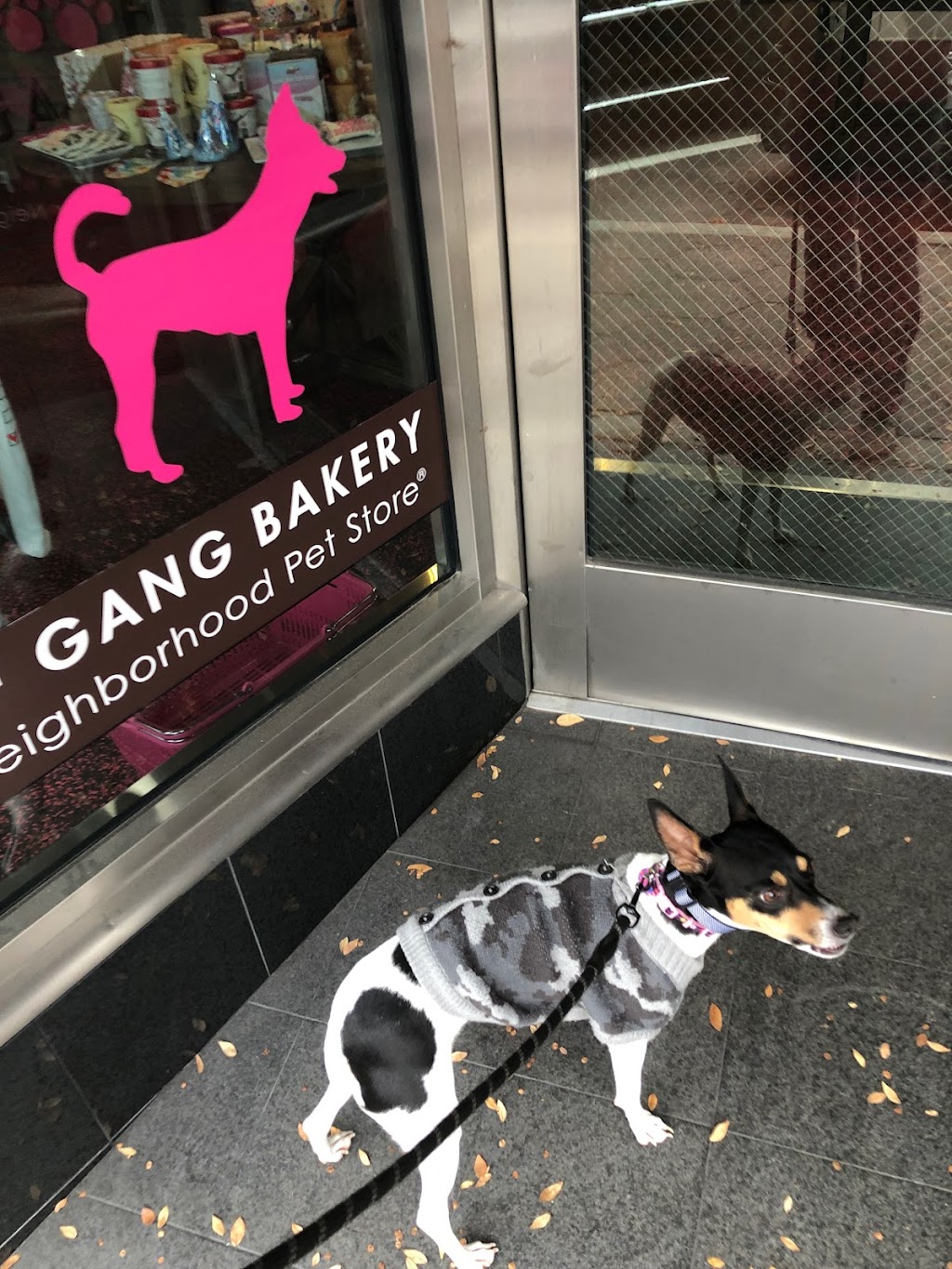 Woof Gang Bakery & Grooming Avondale | 3590 St Johns Ave, Jacksonville, FL 32205, USA | Phone: (904) 683-5274