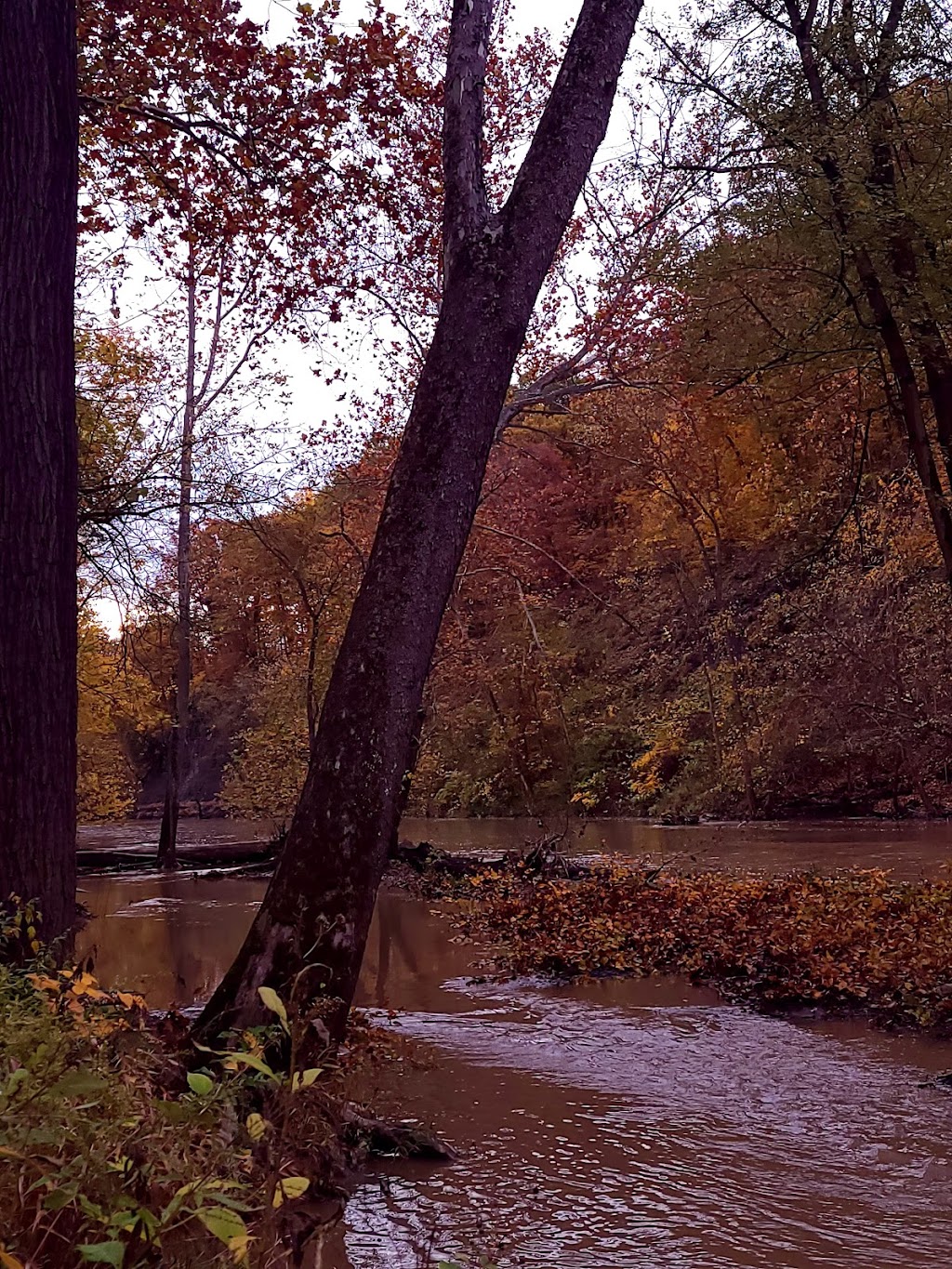 Lorain County Metro Parks High Meadows Shelter #1 | 1750 Ford Rd, Elyria, OH 44035, USA | Phone: (440) 324-5481