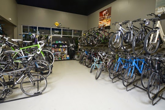 Just Ride Bicycles | 13412 Boyette Rd, Riverview, FL 33569, USA | Phone: (813) 381-3907