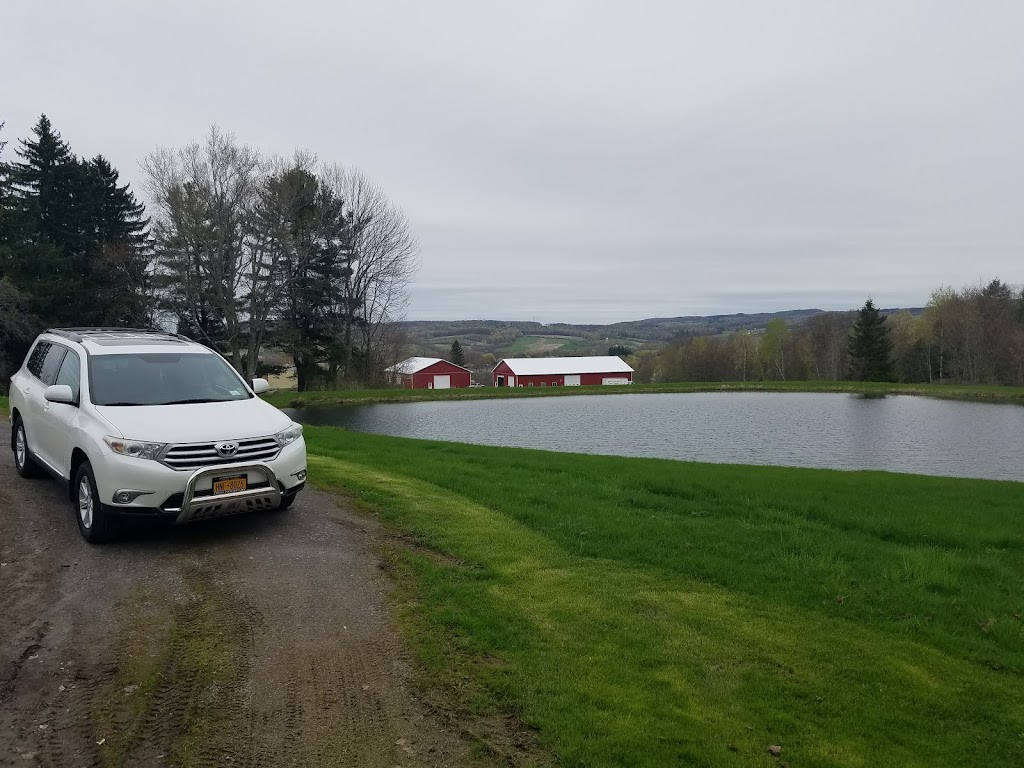 Rulison Honey Farms | 201 Shellstone Rd, Amsterdam, NY 12010, USA | Phone: (518) 843-1619