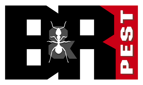 B&R Pest Services | 17170 Jordan Rd, Selma, TX 78154, USA | Phone: (210) 889-3430 B&R Pest Services | 17170 Jordan Rd, Selma, TX 78154, USA | Phone: (210) 889-3430