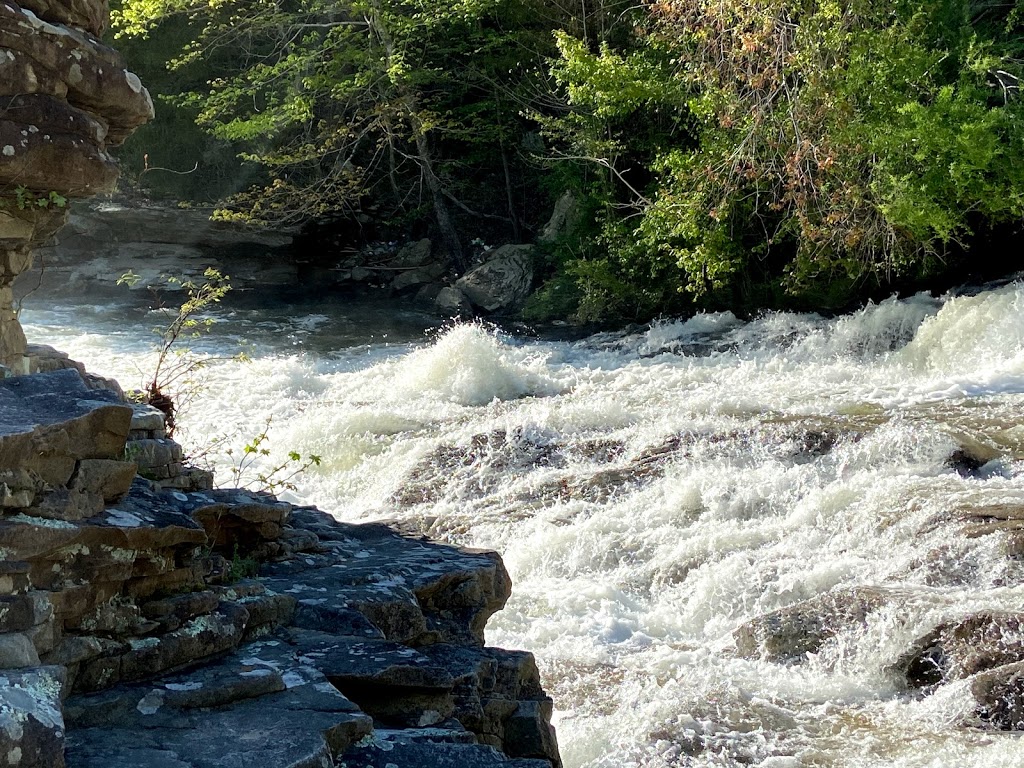 Turkey Creek Nature Preserve | Pinson, AL 35126, USA | Phone: (205) 680-4116