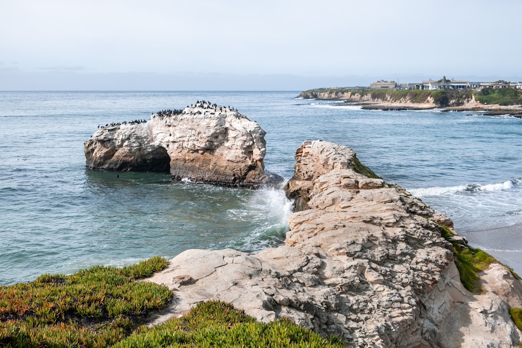 Natural Bridges Tidepools | Santa Cruz, CA 95060, USA | Phone: (831) 423-4609