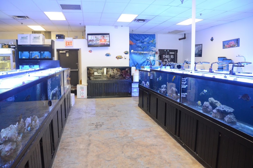 Robs Aquatics | 17135 S Harlem Ave, Tinley Park, IL 60477, USA | Phone: (708) 444-7627