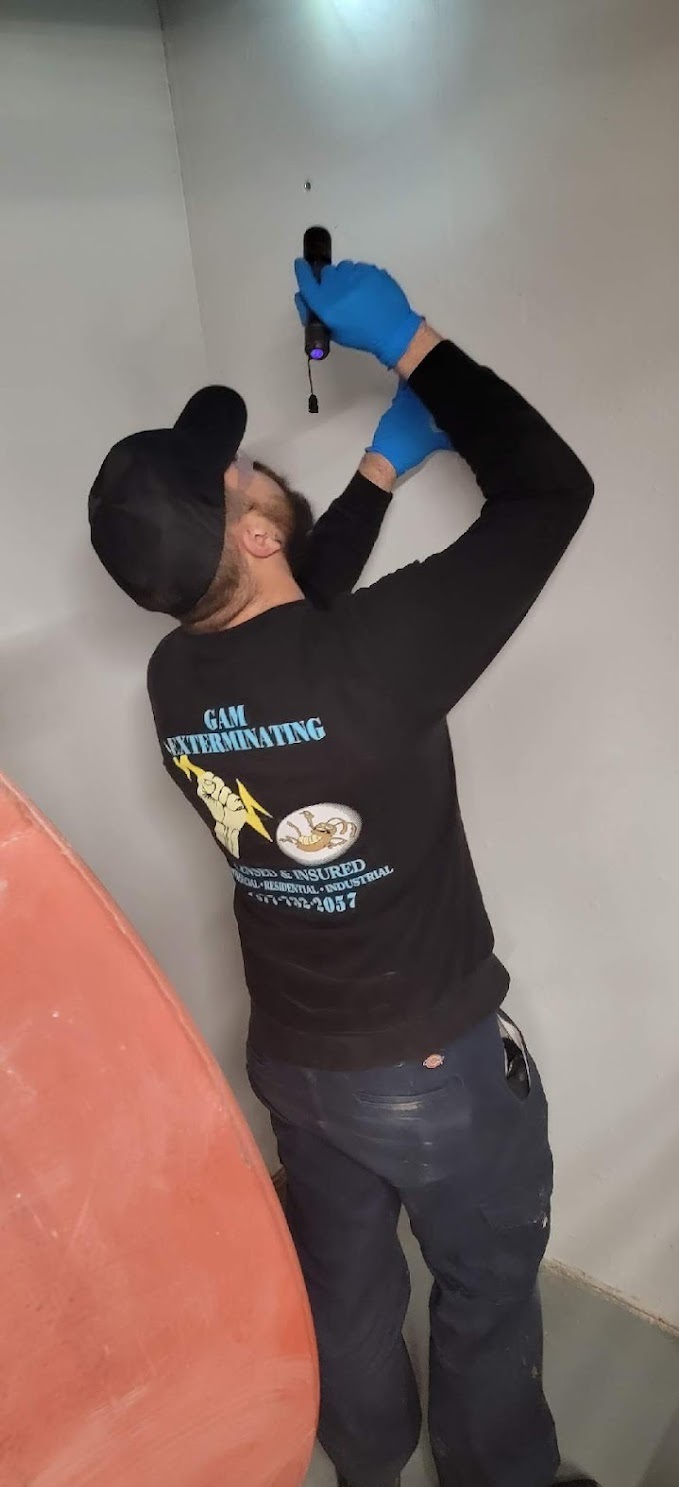 gam exterminating | 324 Clocks Blvd, Massapequa, NY 11758, USA | Phone: (877) 732-2057