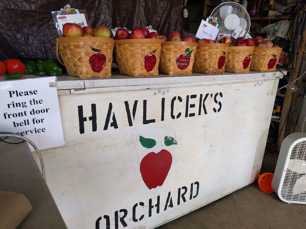 Havliceks Orchard | 26526 Newport Ave, Webster, MN 55088, USA | Phone: (952) 758-4386