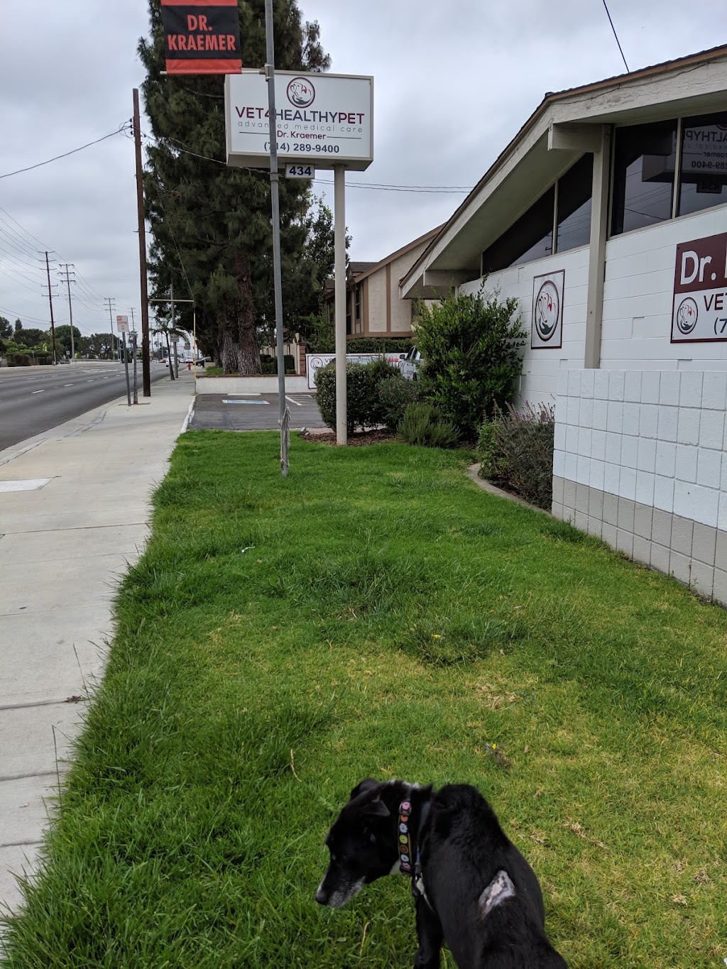 Vet4HealthyPet | 434 S Tustin St, Orange, CA 92866, USA | Phone: (714) 289-9400