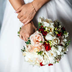 Bunches Direct USA | 2946 NW 72nd Ave, Miami, FL 33122, USA | Phone: (866) 690-8425 Bunches Direct USA | 2946 NW 72nd Ave, Miami, FL 33122, USA | Phone: (866) 690-8425