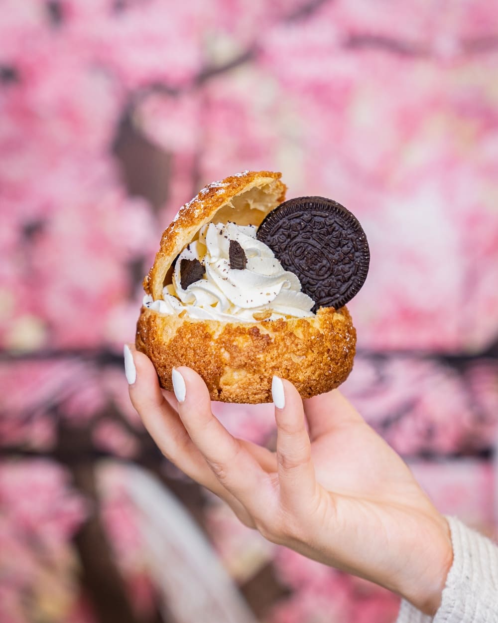 Pâte à Choux | 1150 El Camino Real #205, San Bruno, CA 94066, USA | Phone: (650) 576-4915