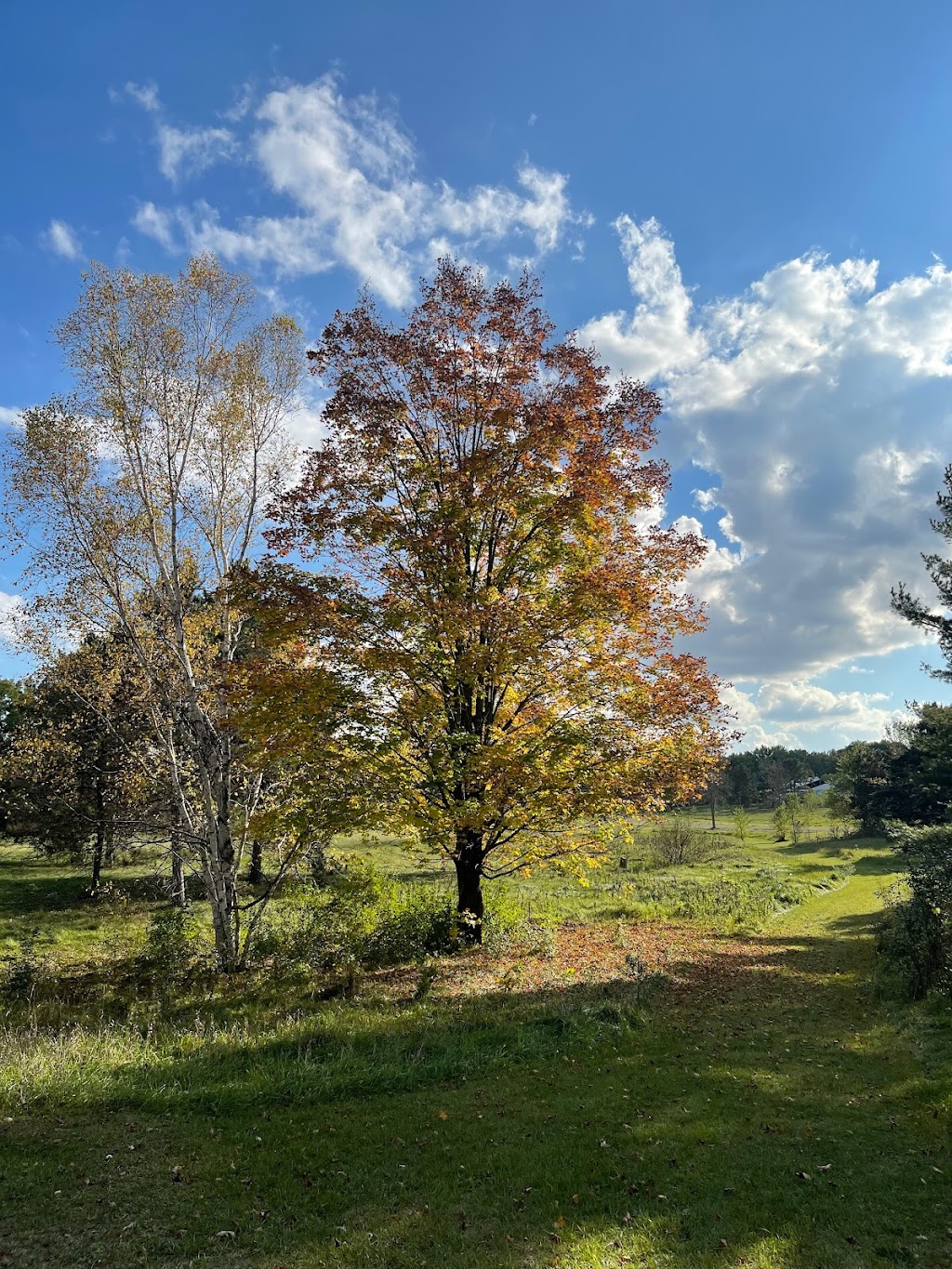 Riverwood Nature Center | 300 W 1st St, Star Prairie, WI 54026, USA | Phone: (715) 248-7400