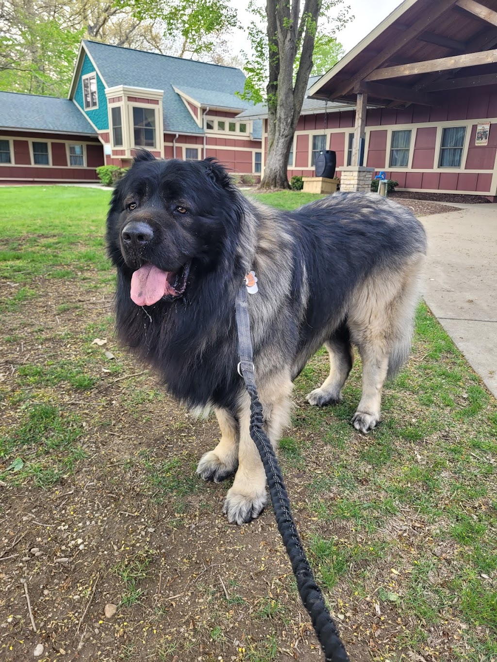 Akron Rotary Camp | 4460 Rex Lake Dr, Akron, OH 44319, USA | Phone: (330) 644-4512