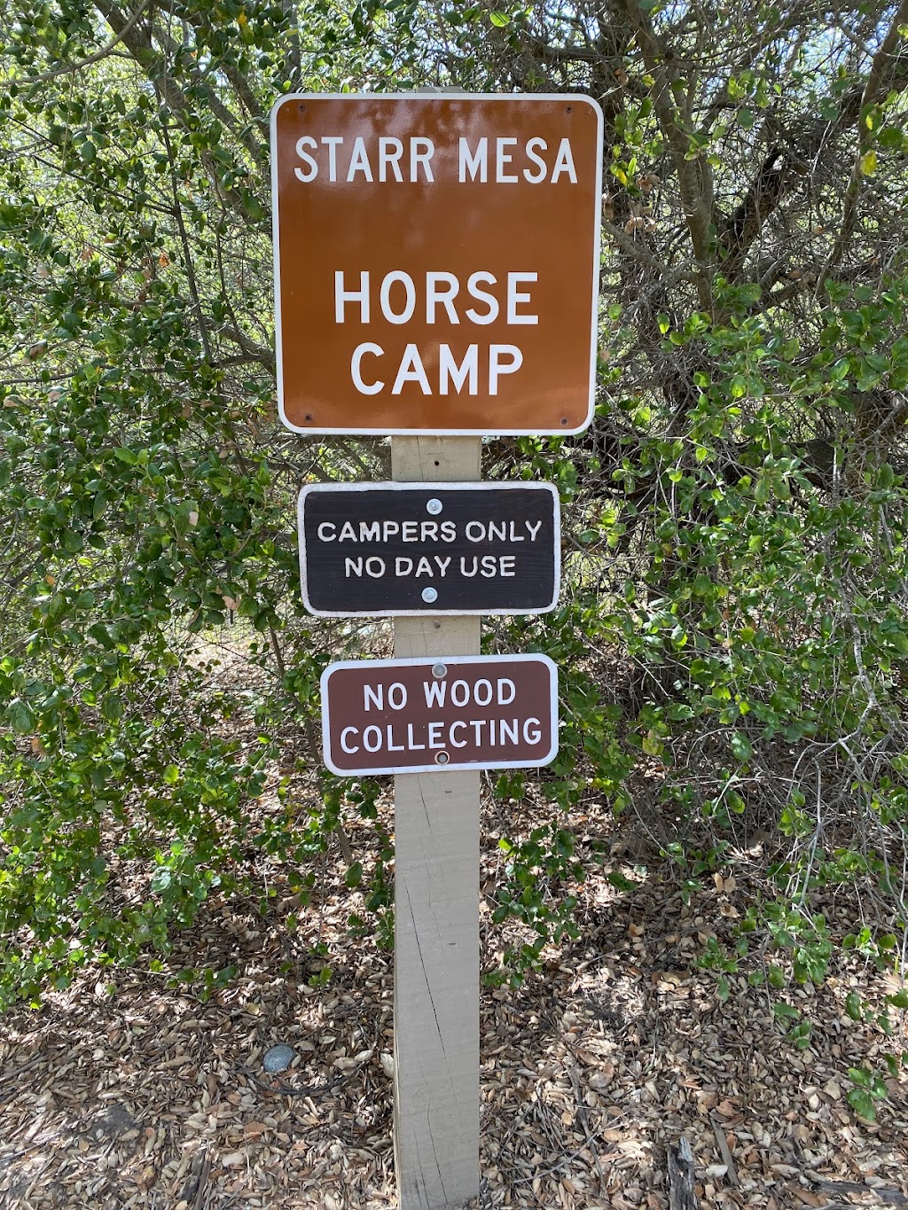 Starr Mesa Equestrian Campground at Caspers Wilderness Park | 33401 Ortega Hwy., San Juan Capistrano, CA 92675, USA | Phone: (949) 923-2210