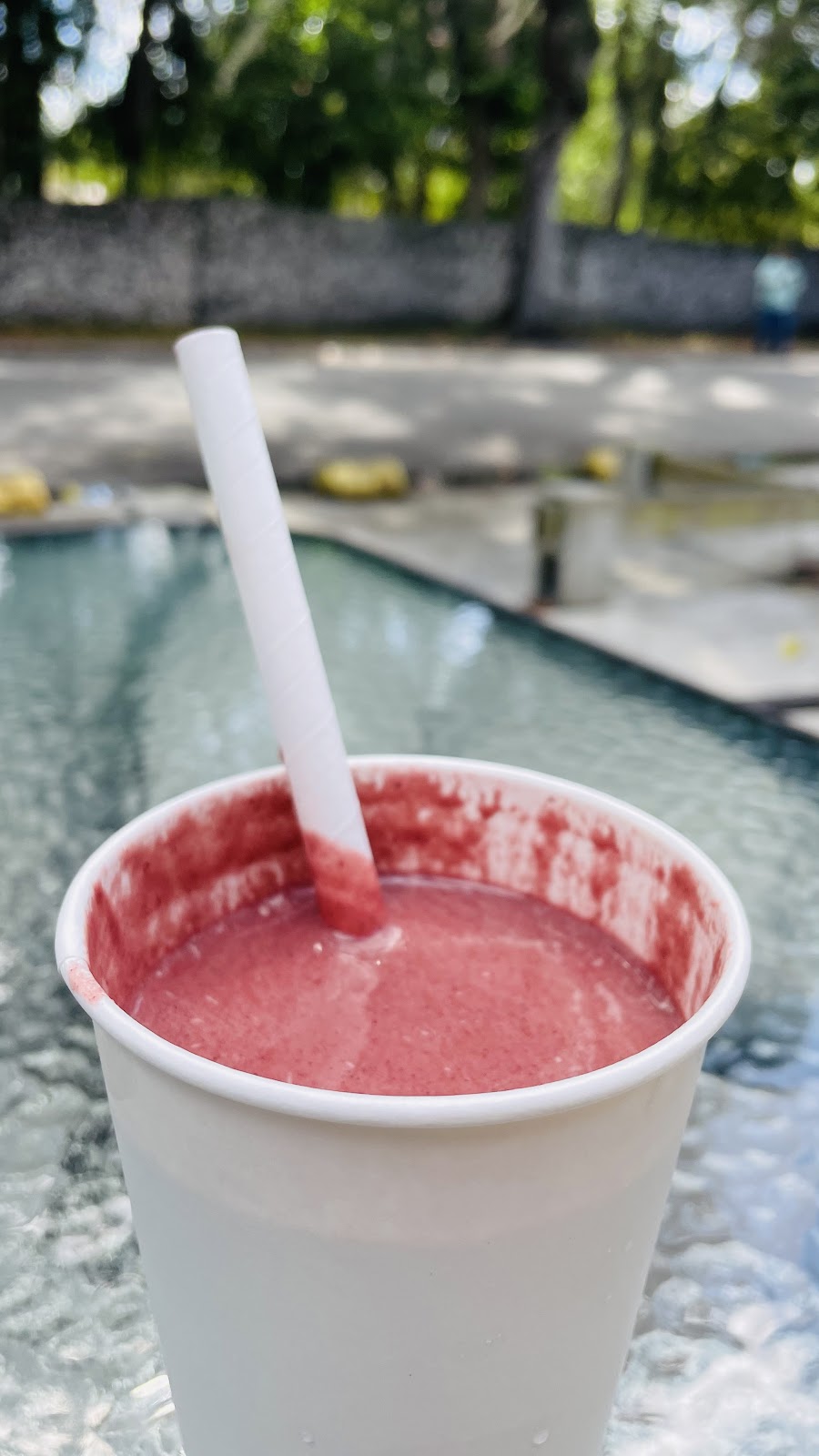 Fountain Of Juice | 31 Williams St, St. Augustine, FL 32084, USA | Phone: (904) 501-6240