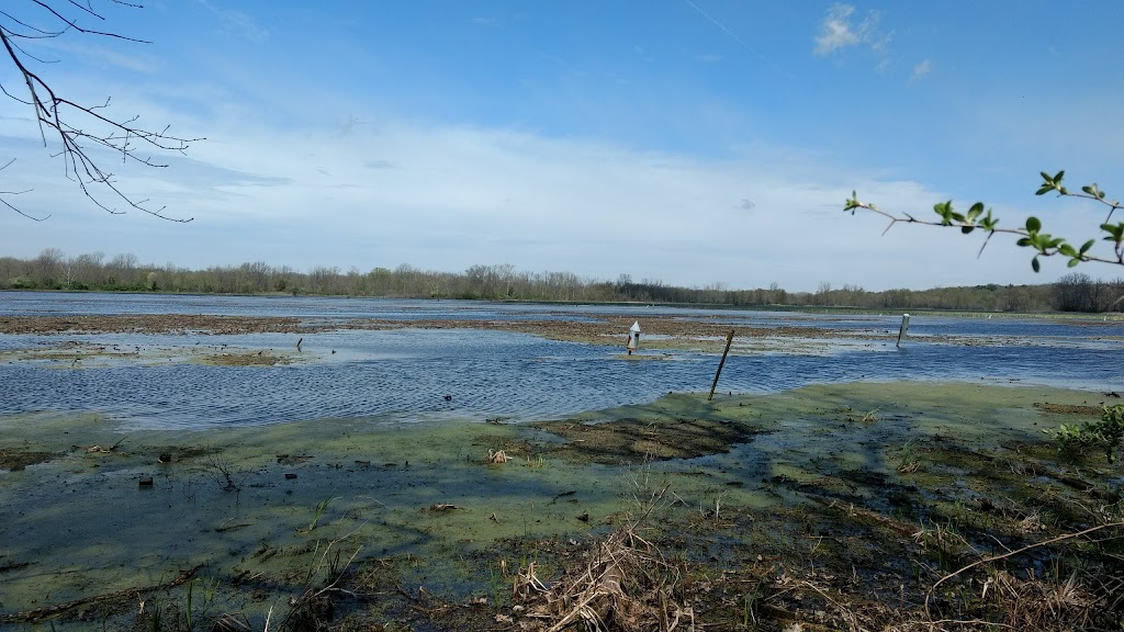 Spring Valley Wildlife Area | Spring Valley, OH 45370, USA | Phone: (937) 372-9261