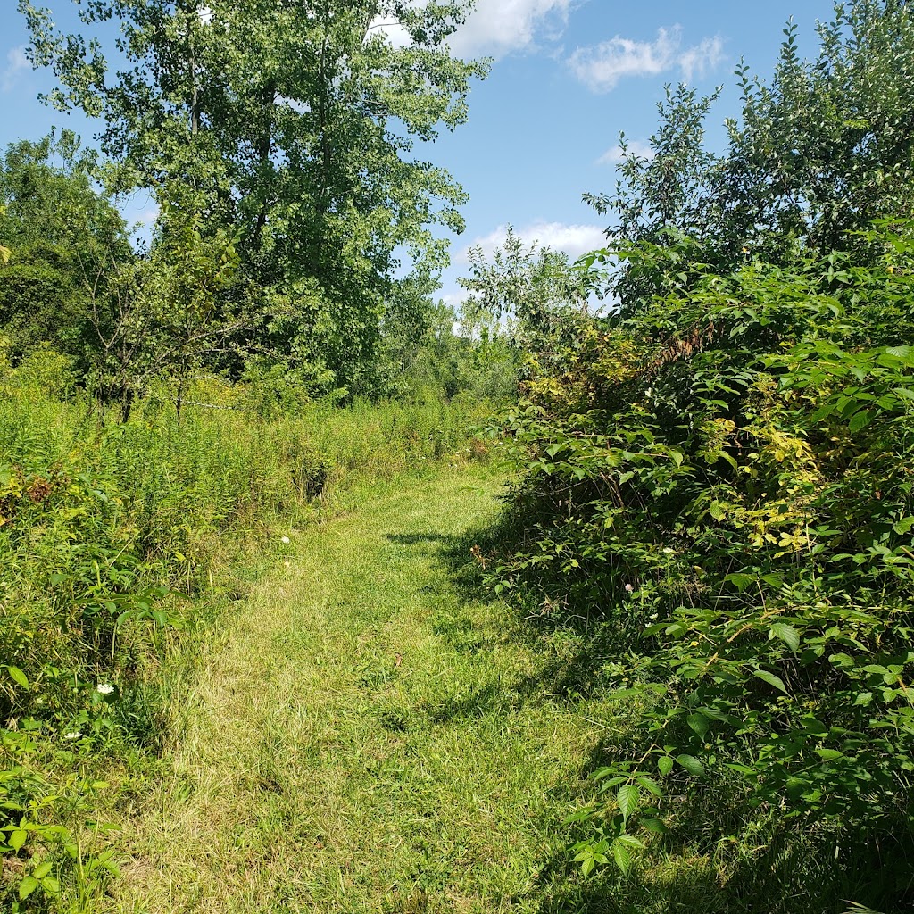 River Woods Nature Preserve | 1163 Center Rd, Hinckley, OH 44233, USA | Phone: (330) 278-4181