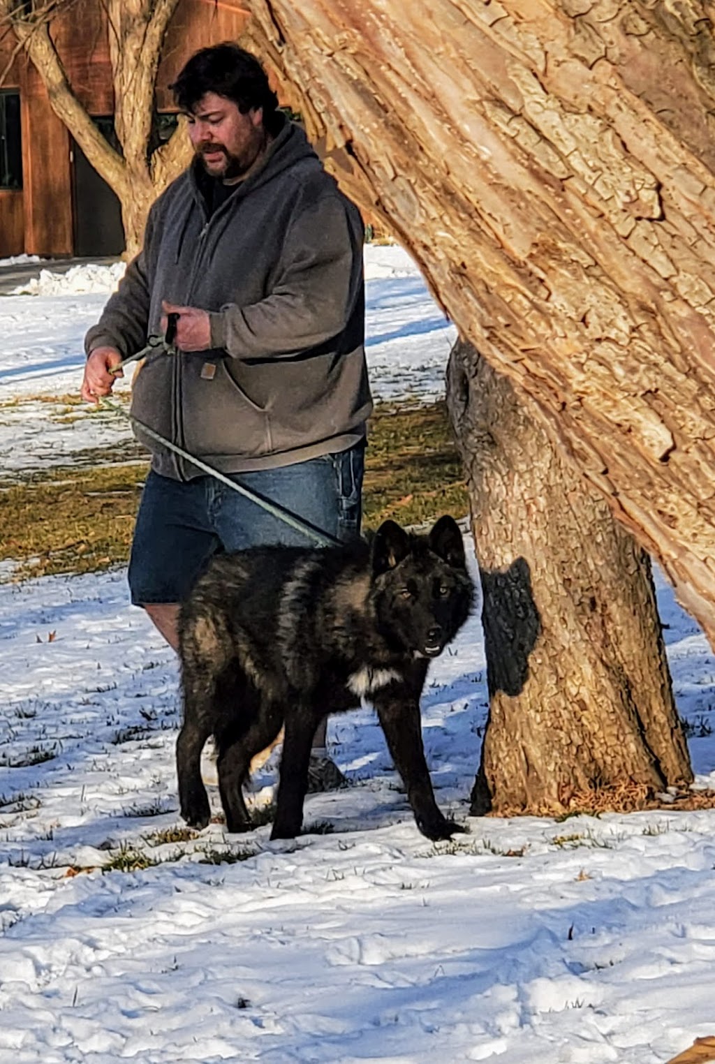 Legendary Wolfdogs | 2307 Murray Rd, Plattsmouth, NE 68048, USA | Phone: (402) 298-1309