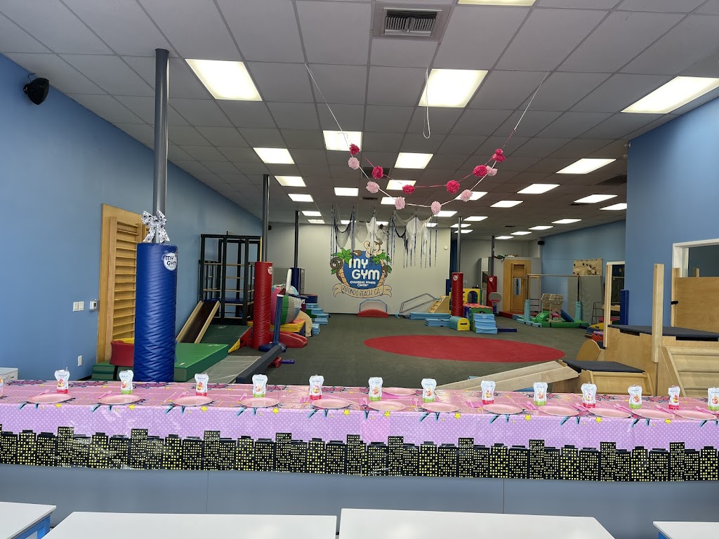 My Gym Childrens Development Program | 1216 Beryl St, Redondo Beach, CA 90277, USA | Phone: (310) 318-2288