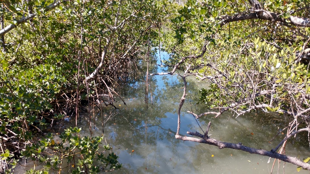 Indian Rocks Beach Nature Preserve | 903 Gulf Blvd, Indian Rocks Beach, FL 33785 | Phone: (727) 595-2517