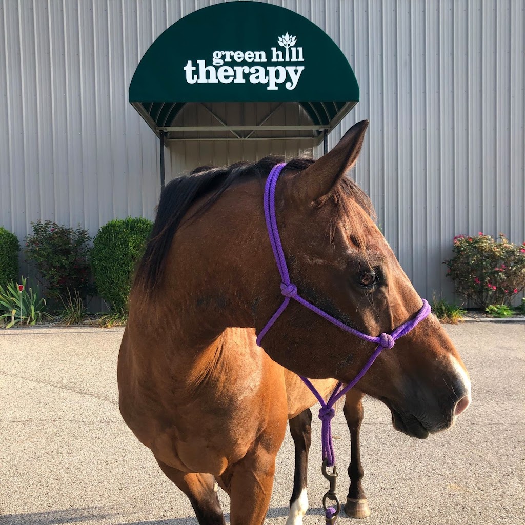 Green Hill Therapy | 1410 Long Run Rd, Louisville, KY 40245, USA | Phone: (502) 244-8011