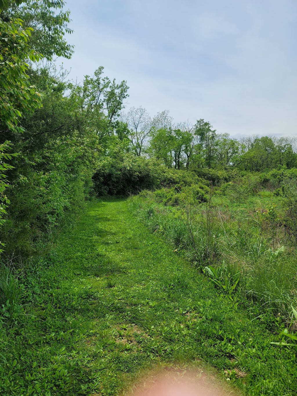 Forest Run Metropark | 1810 New London Rd, Hamilton, OH 45013, USA | Phone: (513) 867-5835