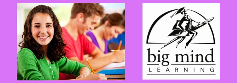 Big Mind Learning | 595 Loudon Rd, Latham, NY 12110, USA | Phone: (518) 339-4337