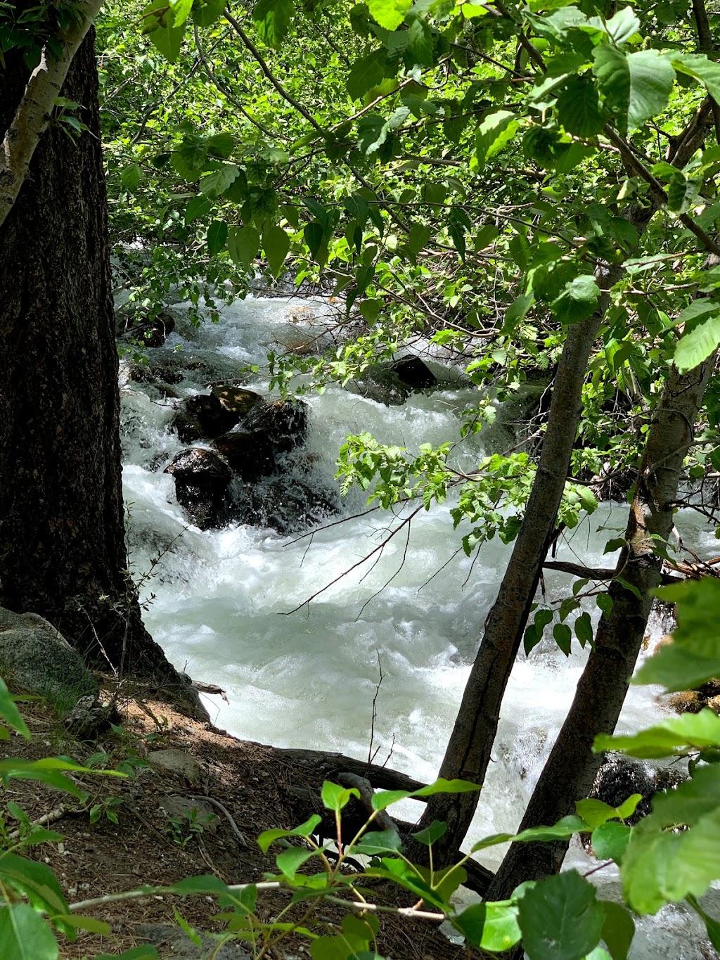 Galena Creek Bridge | 18350 Mt Rose Hwy, Reno, NV 89511, USA | Phone: (775) 849-2511