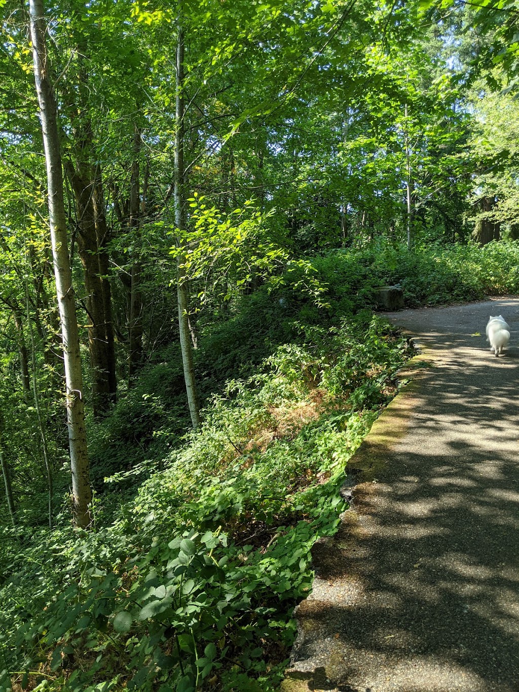 May Creek Park | Newcastle, WA 98056 | Phone: (425) 649-4444