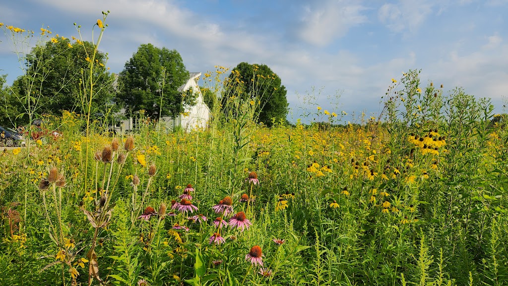 Homestead Metro Park | 4675 Cosgray Rd, Hilliard, OH 43026, USA | Phone: (614) 216-8859