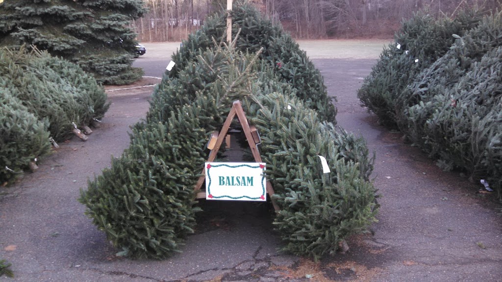 NEW CANAAN EXCHANGE CLUB CHRISTMAS TREE and WREATH SALE | 77 Old Norwalk Rd, New Canaan, CT 06840, USA | Phone: (203) 293-8051