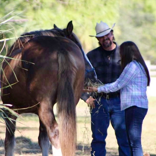 Deer Prairie Creek Horseback Riding | 7001 Forbes Trail, Venice, FL 34292, USA | Phone: (941) 220-5080