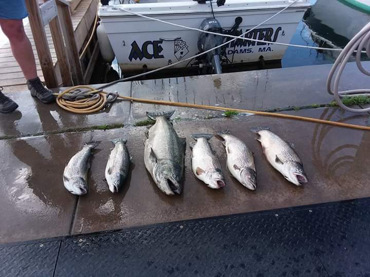 Ace Charters - Lake Ontario Fishing Charters | 13 Basin St Slip 24, Oswego, NY 13126, USA | Phone: (413) 346-7675