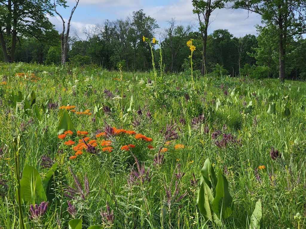 Somme Prairie Nature Preserve | 45R9+6P, Northbrook, IL 60062, USA | Phone: (800) 870-3666