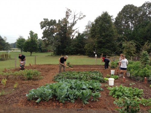 Cooks Community Garden | 3201 Mt Holly-Huntersville Rd, Charlotte, NC 28216, USA | Phone: (704) 394-4422