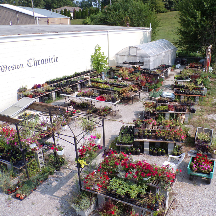 Weston Garden Center LLC | 18275 MO-45 N, Weston, MO 64098, USA | Phone: (816) 807-2383