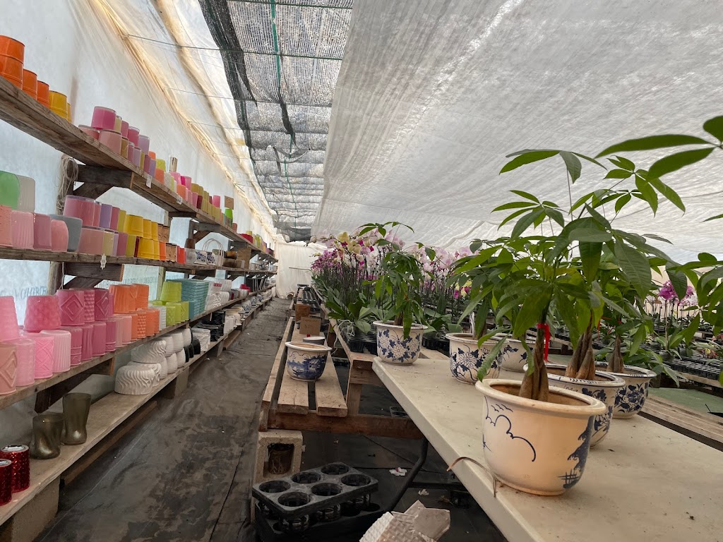 Bay Area Orchids | 12511 San Mateo Rd, Half Moon Bay, CA 94019, USA | Phone: (650) 922-4975