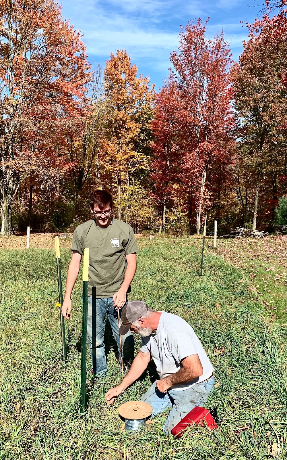OverEast Family Farm | 480 Beattie Hollow Rd, Salem, NY 12865, USA | Phone: (518) 321-3184