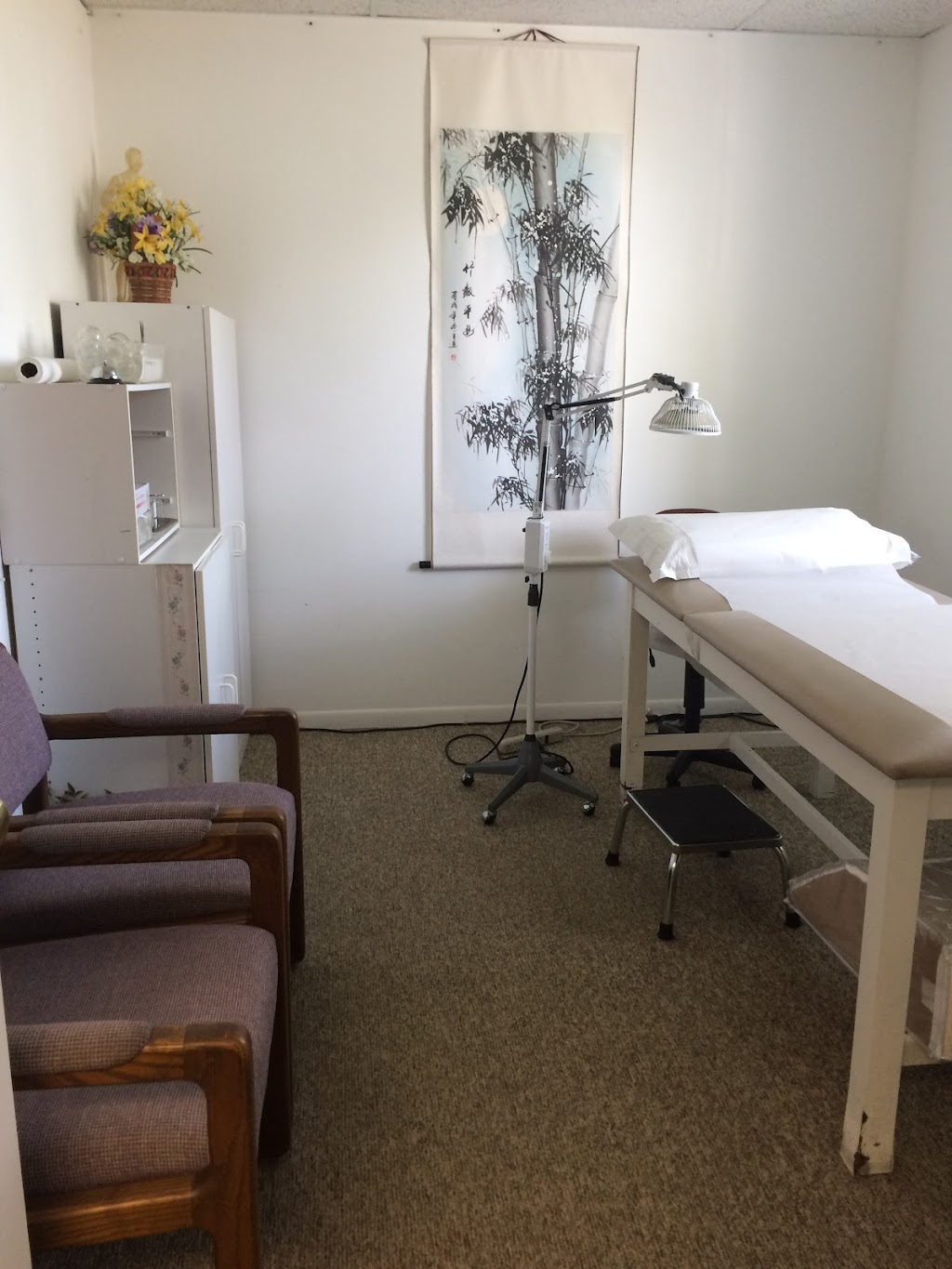 drlius Chinese Acupuncture & Health Center | 7222 S Tamiami Trail #102, Sarasota, FL 34231, USA | Phone: (941) 302-2675