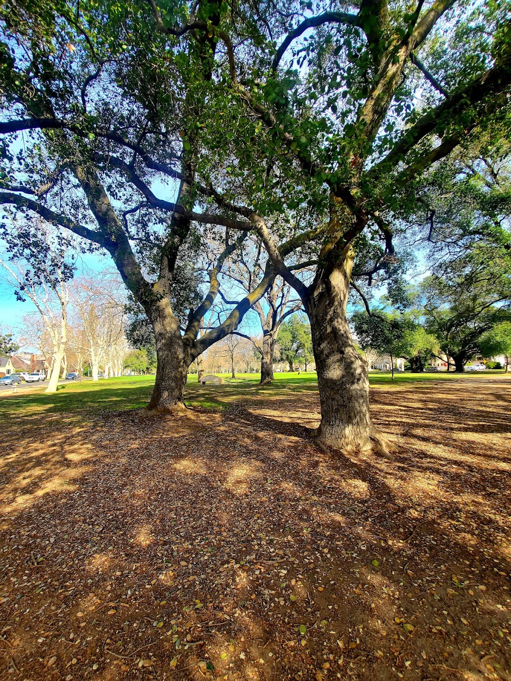 Curtis Park | 3349 W Curtis Dr, Sacramento, CA 95818, USA | Phone: (916) 808-6060