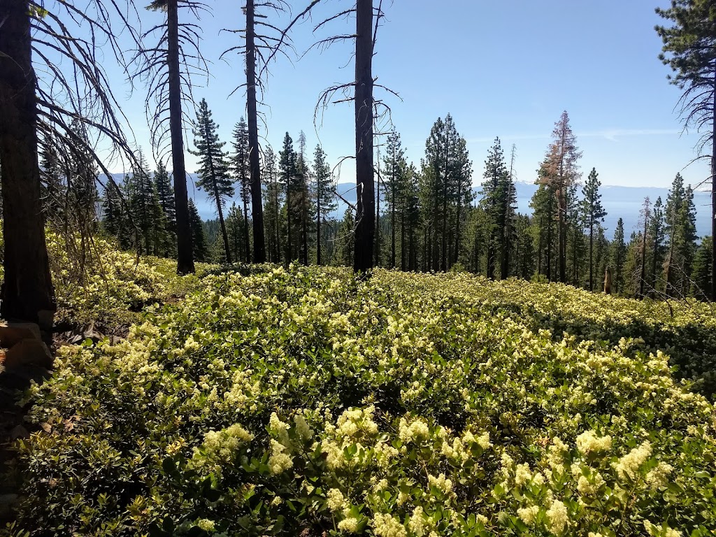 Brockway Summit Tahoe Rim Trail Trailhead | Tahoe Rim Trail, Tahoe Vista, CA 96148, USA | Phone: (775) 298-4485