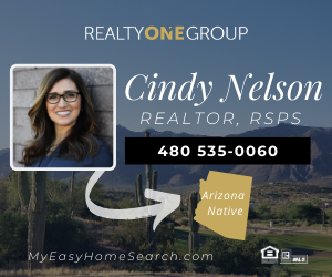 Cindy Nelson AZ, REALTOR - Realty One Group | 3530 S Val Vista Dr #114, Gilbert, AZ 85297, USA | Phone: (480) 535-0060