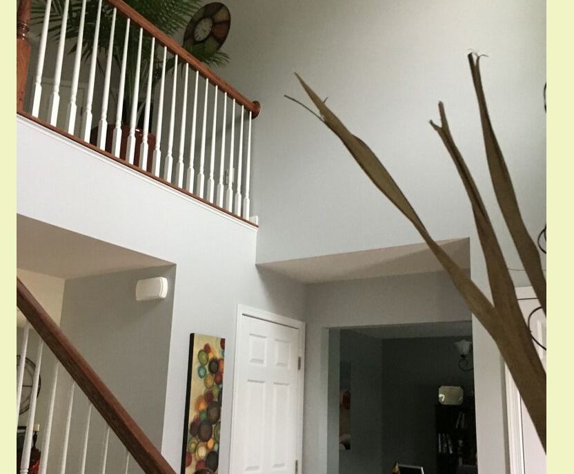 State of Art Custom Painting | 8689 Washington Heights Ave, Pittsburgh, PA 15237, USA | Phone: (412) 364-4918