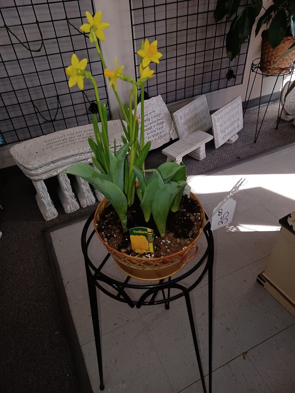 Gallatin Flower & Gift Shoppe | 210 N Locust Ave, Gallatin, TN 37066, USA | Phone: (615) 452-1679