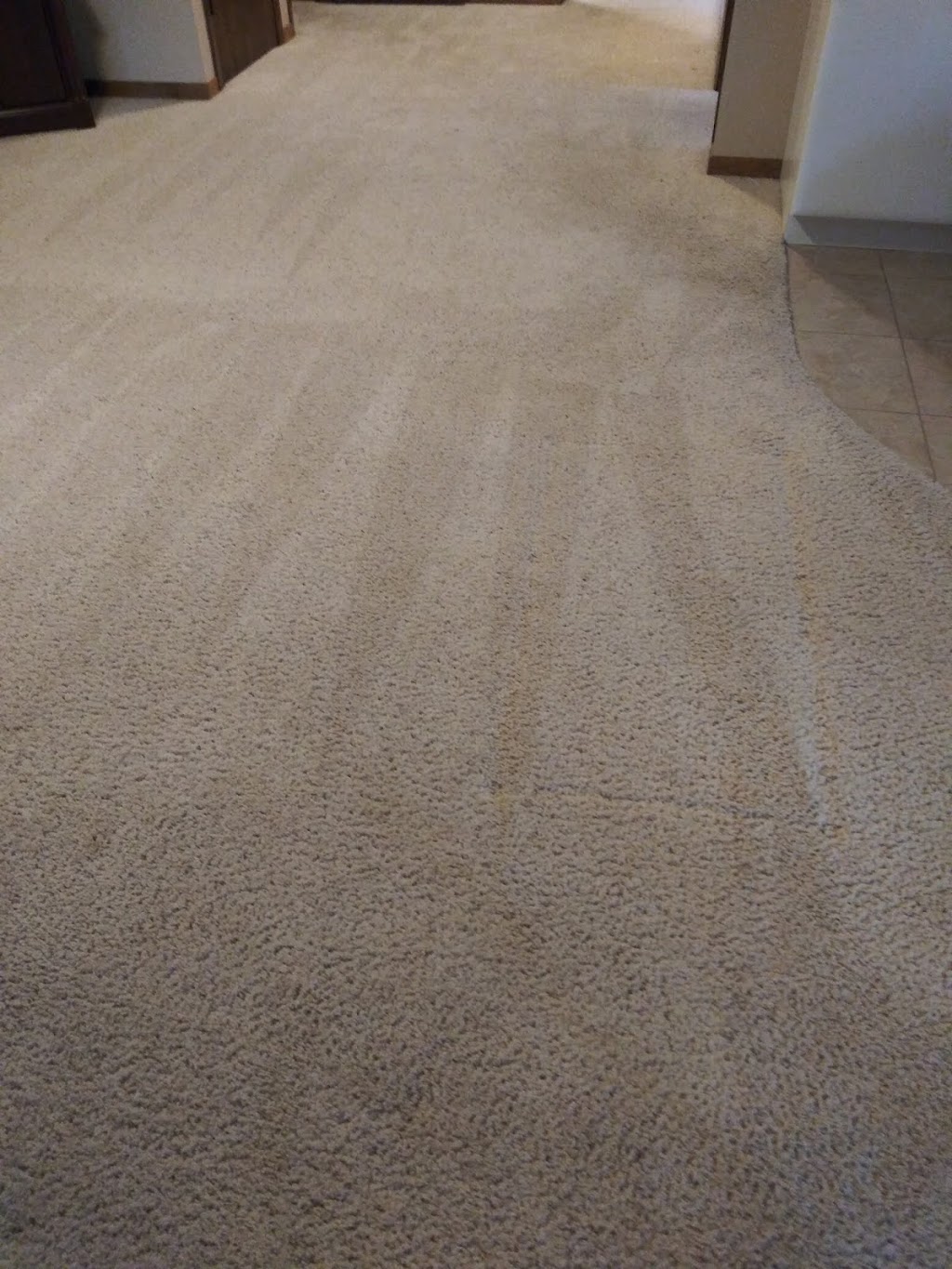 Oxymagic Carpet Cleaning | 38527 Branch Ave, North Branch, MN 55056, USA | Phone: (763) 213-6217