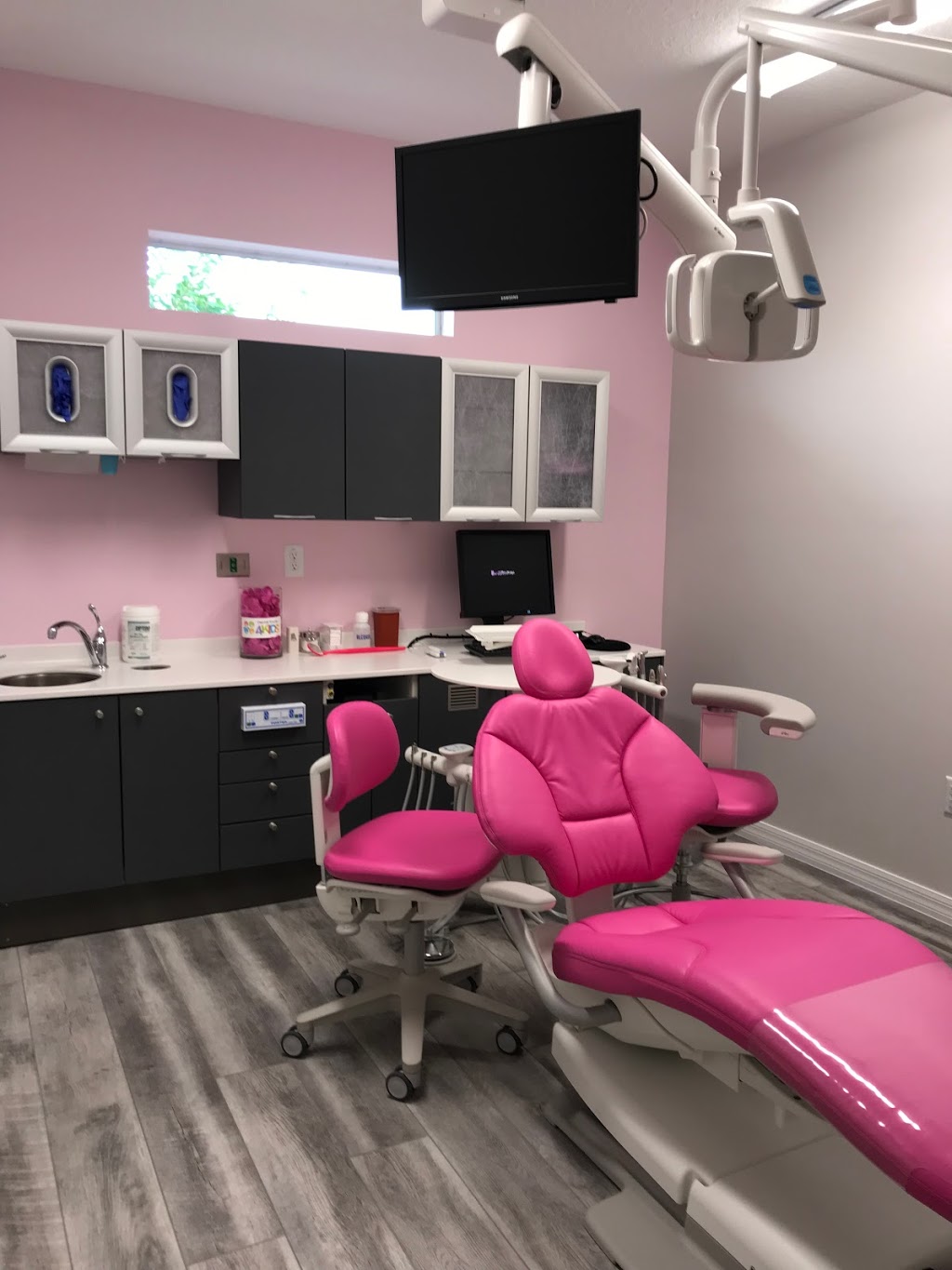 Dental Studio 4 Kids | 4675 Van Dyke Rd, Lutz, FL 33558, USA | Phone: (813) 591-2200