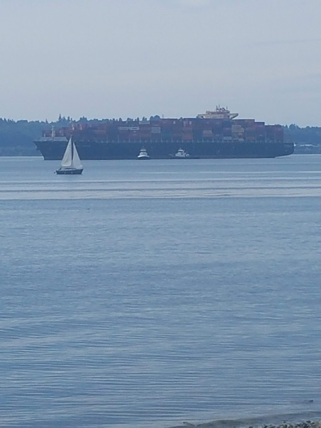 Marina at Browns Point | 5410 Marine View Dr #2, Tacoma, WA 98422, USA | Phone: (253) 272-2827